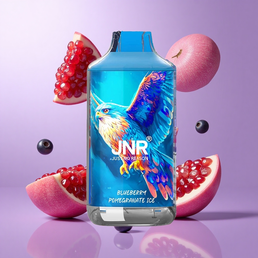 JNR Falcon 16000 Puffs Blaubeere Granatapfel Eis Deutschland großhandel 850 mAh Akkukapazität