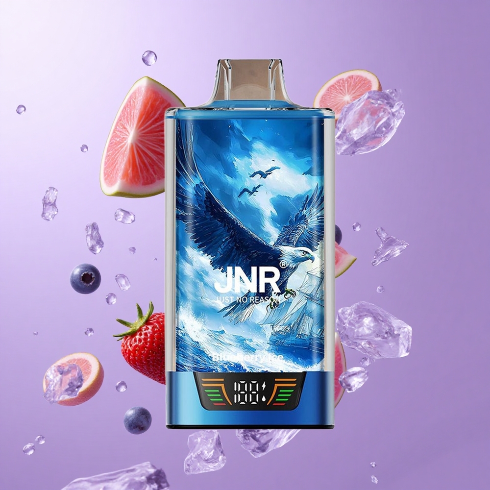 JNR Falcon Pro 28000 Einweg-Vape Blaubeere Eis Deutschland großhandel 28000 Puffs 30ml vorgefüllt