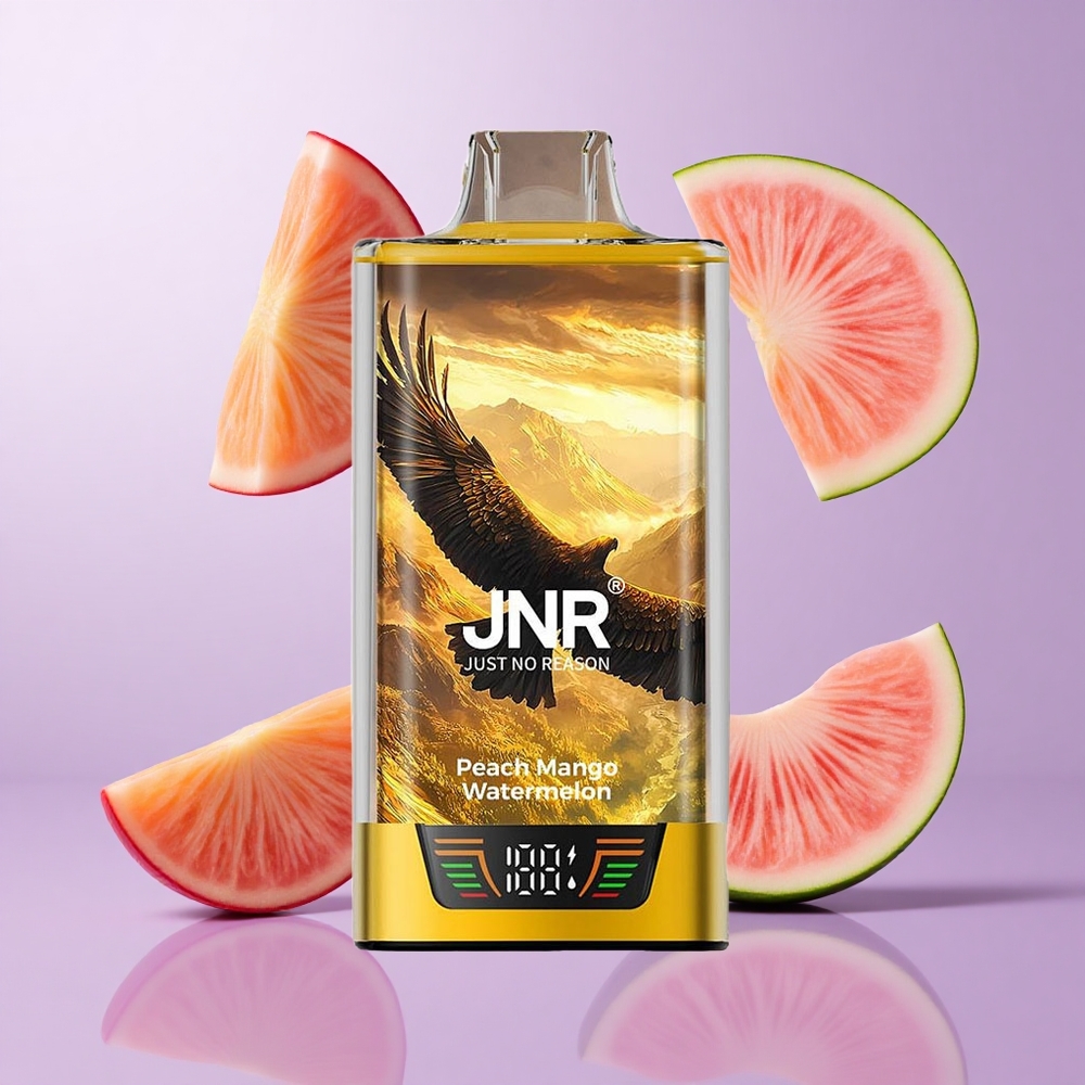 JNR Falcon Pro 28000 Einweg-Vape Pfirsich Mango Wassermelone Deutschland großhandel 30ml vorgefüllte Kapazität