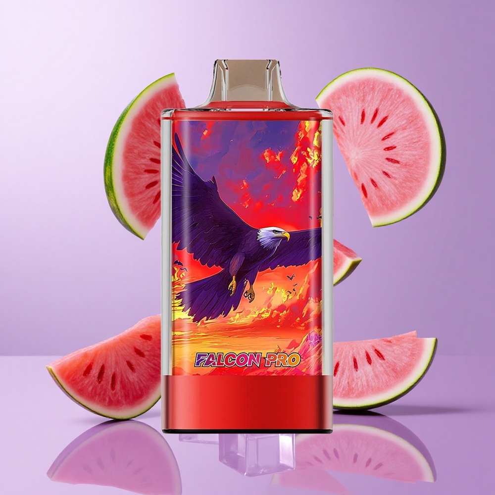 JNR Falcon Pro 28000 Einweg-Vape Wassermelone Eis Deutschland großhandel 28000 Puffs