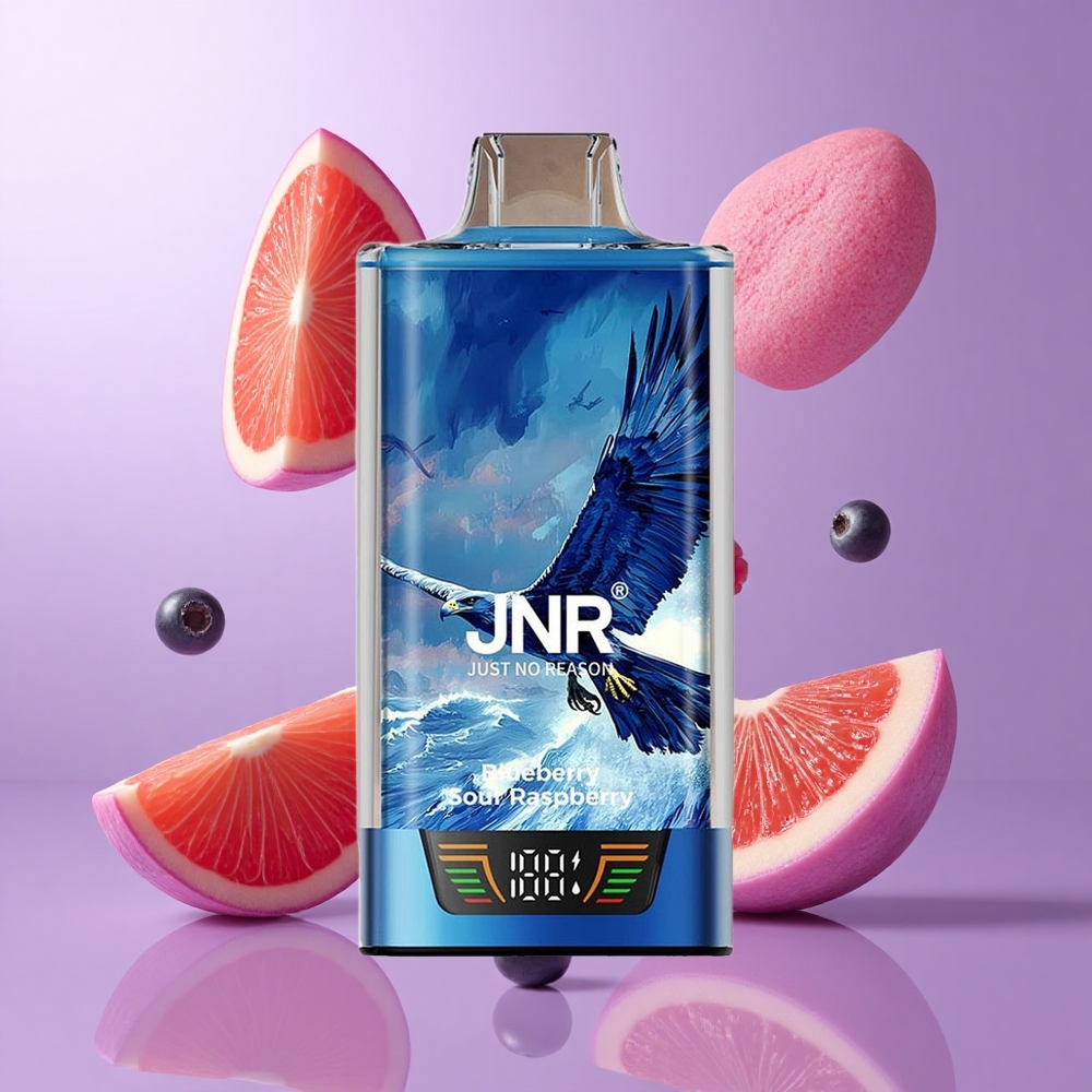 JNR Falcon Pro 28000 Wegwerf-Vape Blaubeere Sauere Himbeere Deutschland großhandel 28000 Puffs 30ml vorgefüllte Kapazität