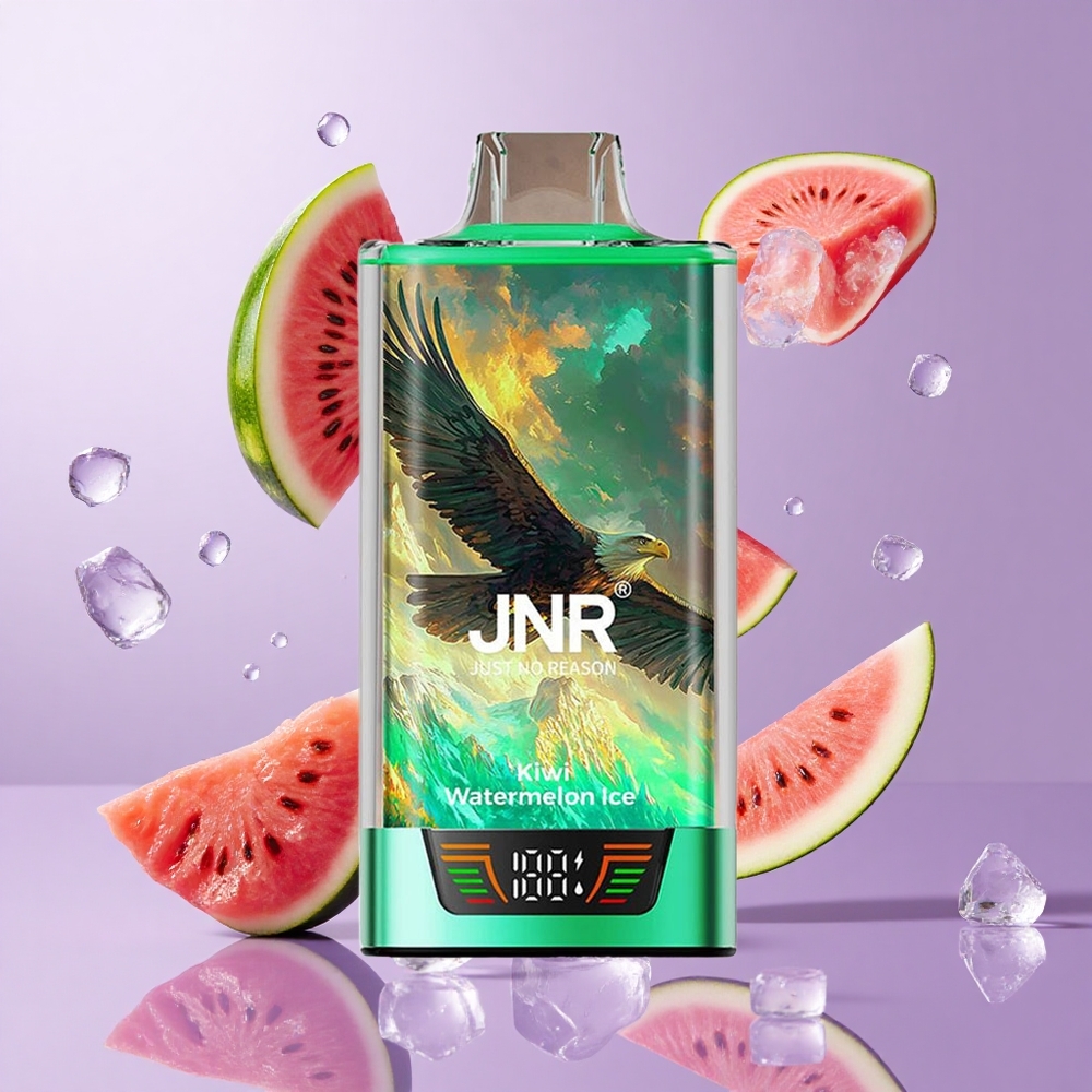 JNR Falcon Pro 28000 Wegwerf-Vape Kiwi Wassermelone Eis Deutschland großhandel 28000 Puffs Smart Display