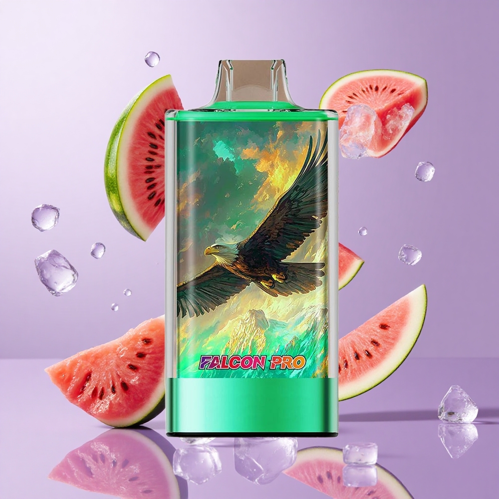 JNR Falcon Pro 28000 Wegwerf-Vape Kiwi Wassermelone Eis Deutschland großhandel 28000 Puffs Smart Display