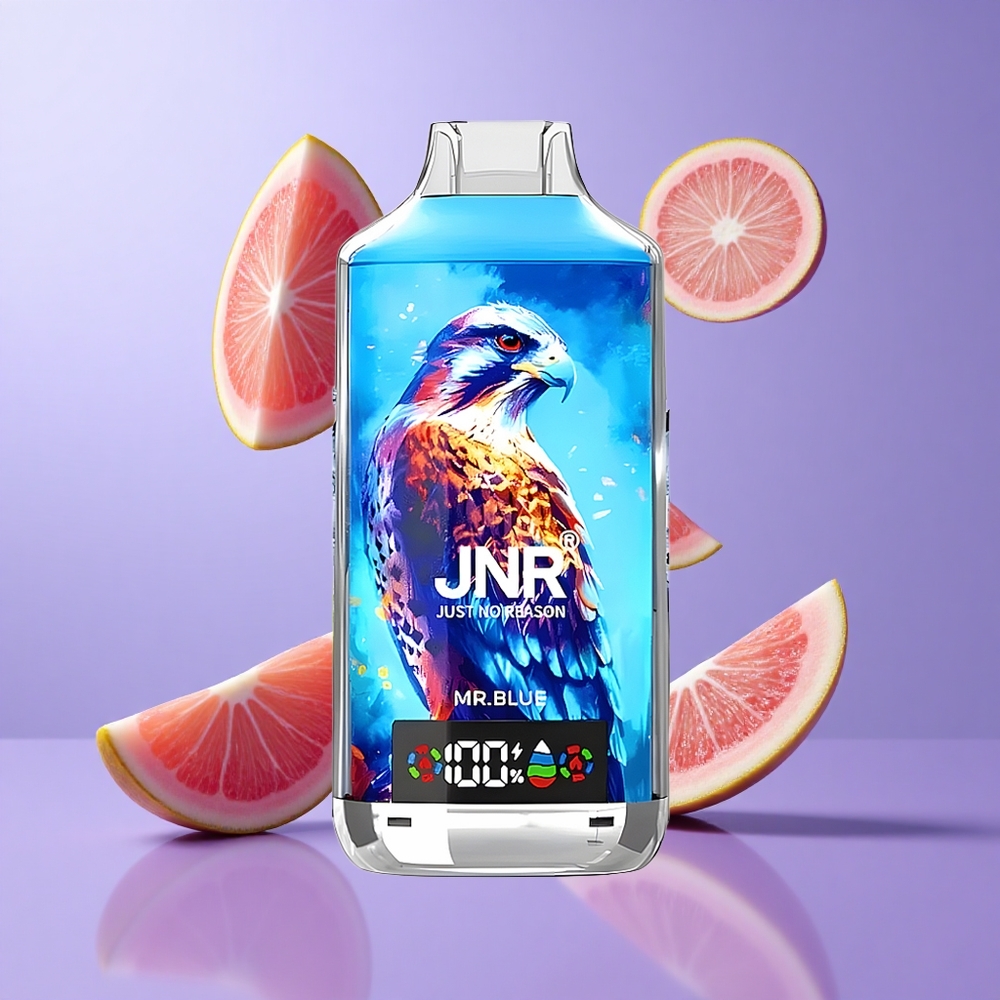 JNR Falcon X 18000 Puffs Einweg-Vape Herr Blau Deutschland großhandel 24ml E-Liquid-Kapazität