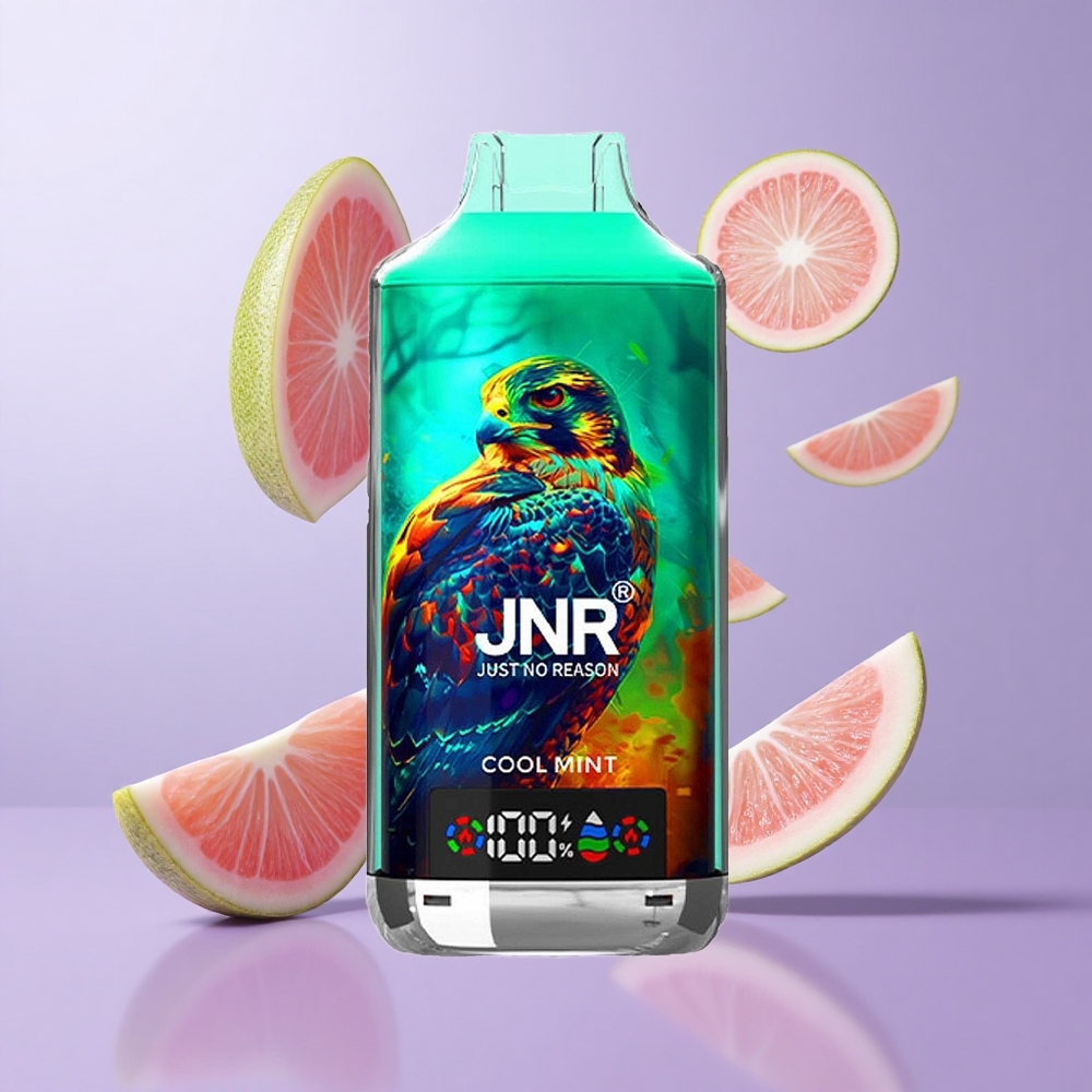 JNR Falcon X 18000 Puffs Kühle Minze Deutschland großhandel 24ml E-Liquid Kapazität
