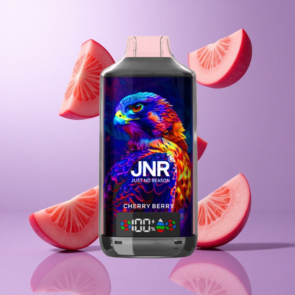 JNR Falcon X 18000 Puffs Kirsche Beere Deutschland großhandel 24ml E-Flüssigkeit Kapazität