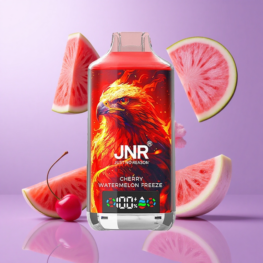 JNR Falcon X 18000 Puffs Kirsche Wassermelone Eis Deutschland großhandel 24ml E-Liquid Kapazität