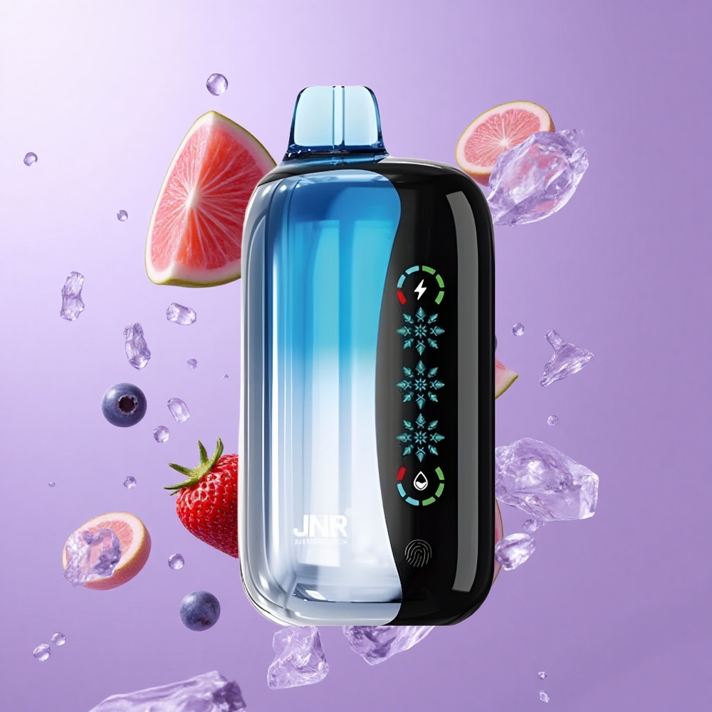 JNR Flex Ice 21000 Puffs Einweg-Vape Blaubeere Eis Deutschland großhandel 26ml E-Liquid
