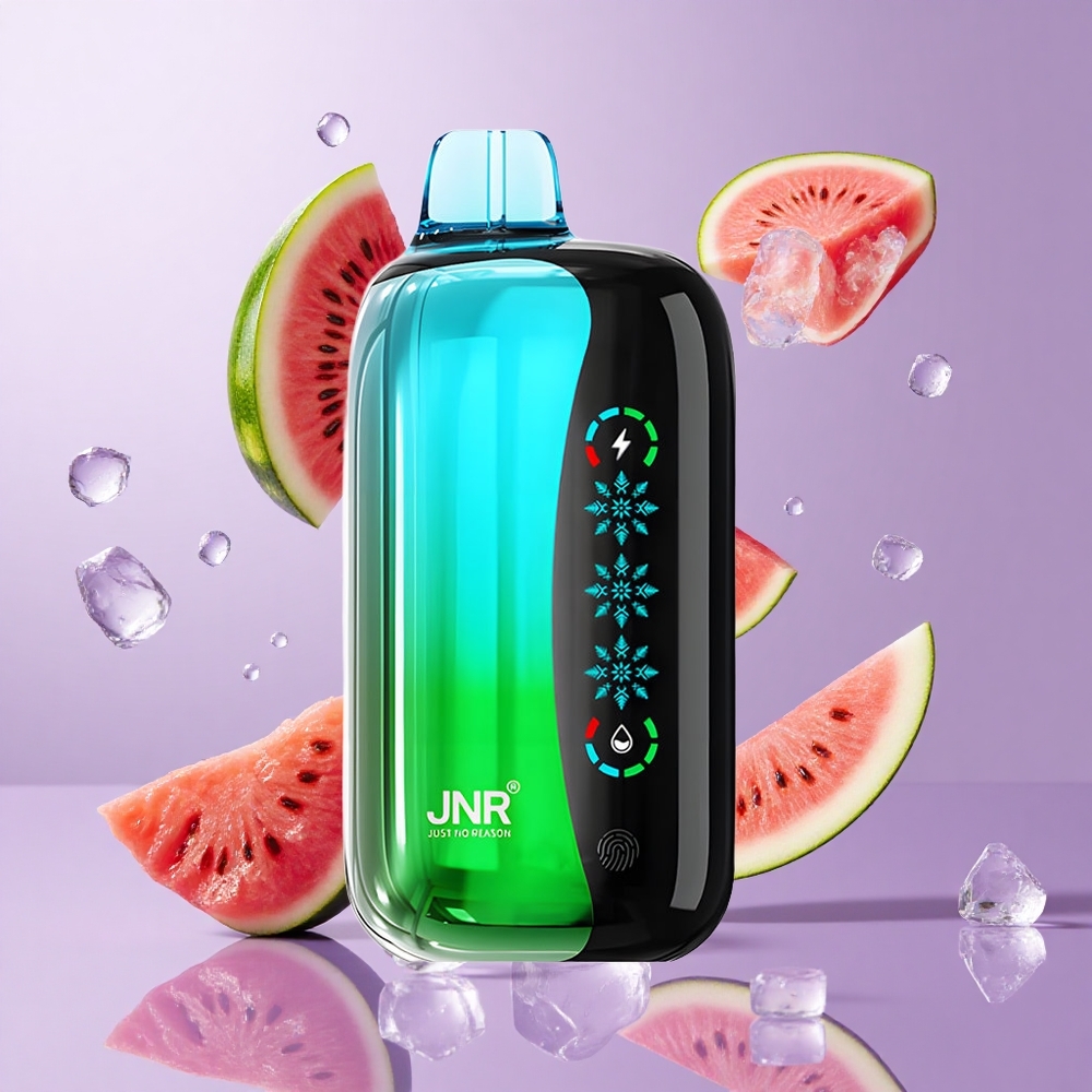 JNR Flex Ice 21000 Puffs Einweg-Vape Kiwi Wassermelone Eis Deutschland großhandel 26ml E-Liquid