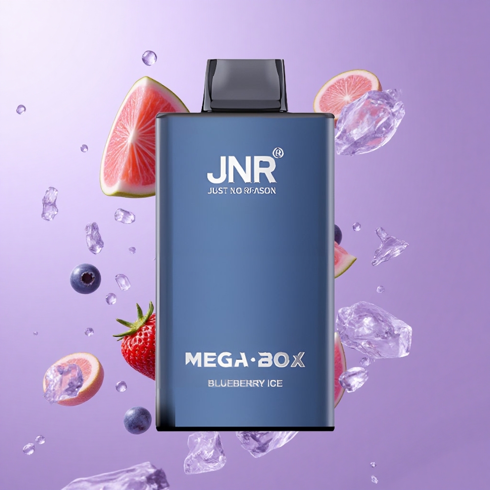 JNR Mega Box 25000 Puffs Einweg-Vape Blaubeere Eis Deutschland großhandel 30ml E-Liquid-Kapazität