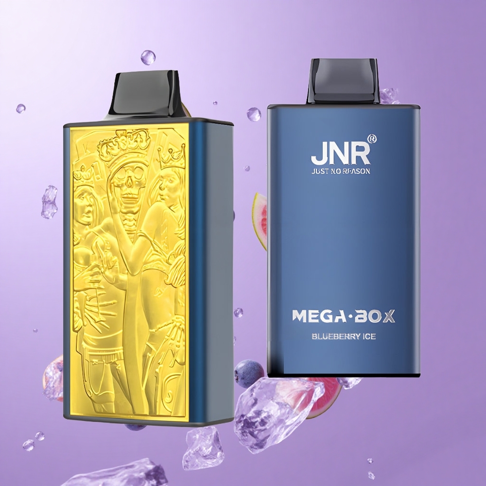 JNR Mega Box 25000 Puffs Einweg-Vape Blaubeere Eis Deutschland großhandel 30ml E-Liquid-Kapazität