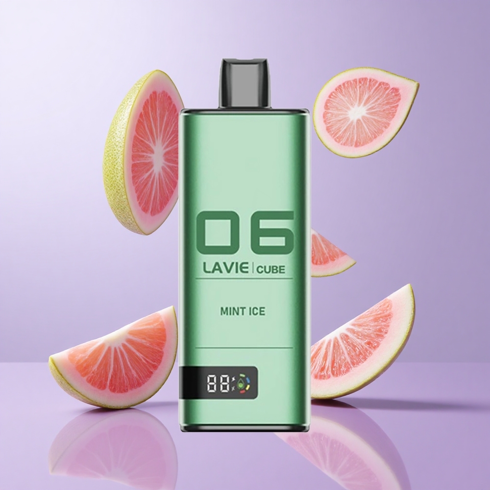 Lavie Cube 20000 Puffs Einweg Vape Minze Eis Deutschland großhandel Flüssigkeit: 28ML