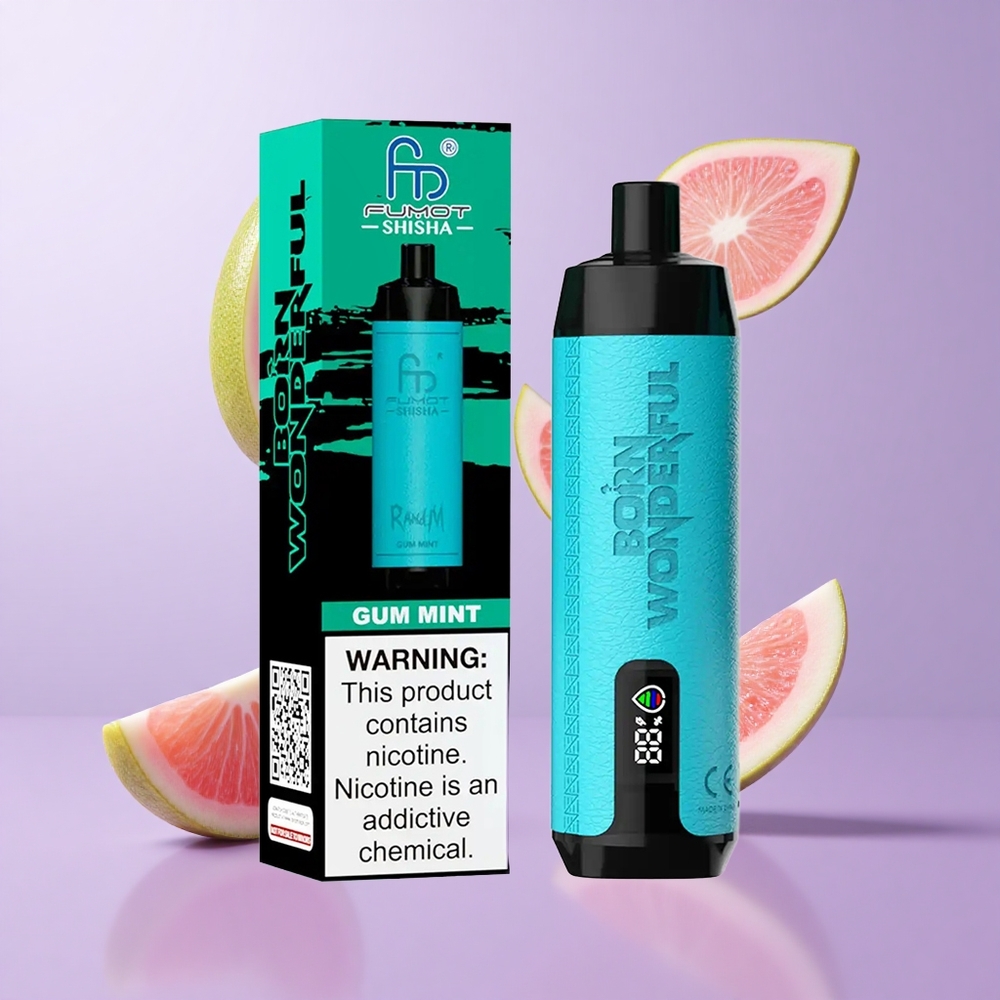 RandM Fumot Shisha 10000 Puffs Kaugummi Minze Deutschland großhandel 18ml vorgefülltes E-Liquid