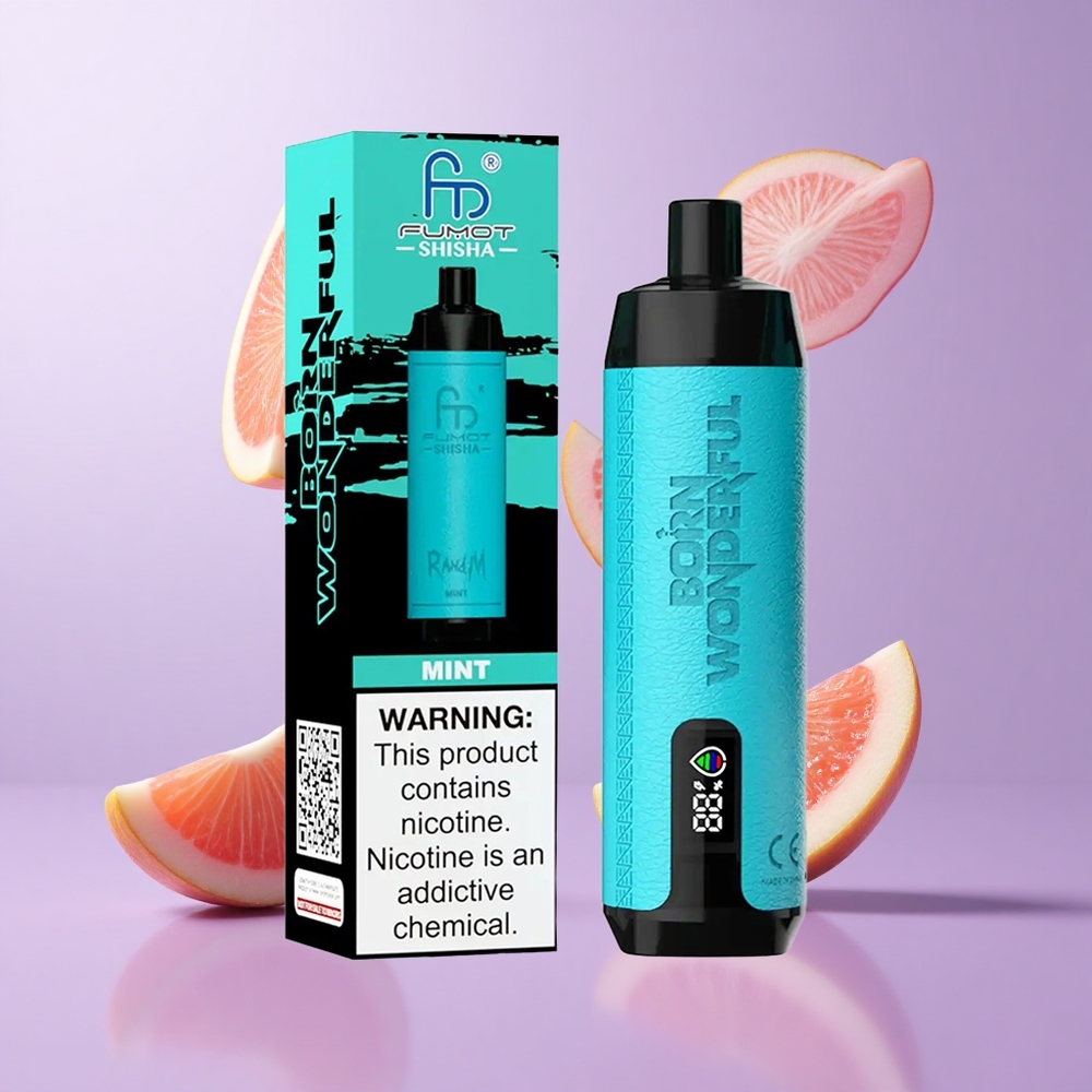 RandM Fumot Shisha 10000 Puffs Minze Deutschland großhandel 18ml Vorgefülltes E-Liquid