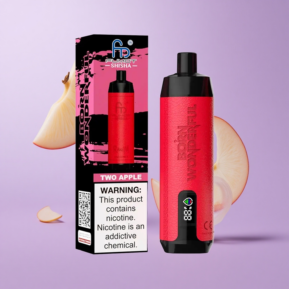 RandM Fumot Shisha 10000 Puffs Zwei Apfel Deutschland großhandel 18ml Vorgefülltes E-Liquid